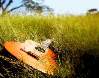 guitar_in_grass